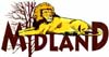 Midland Lion 